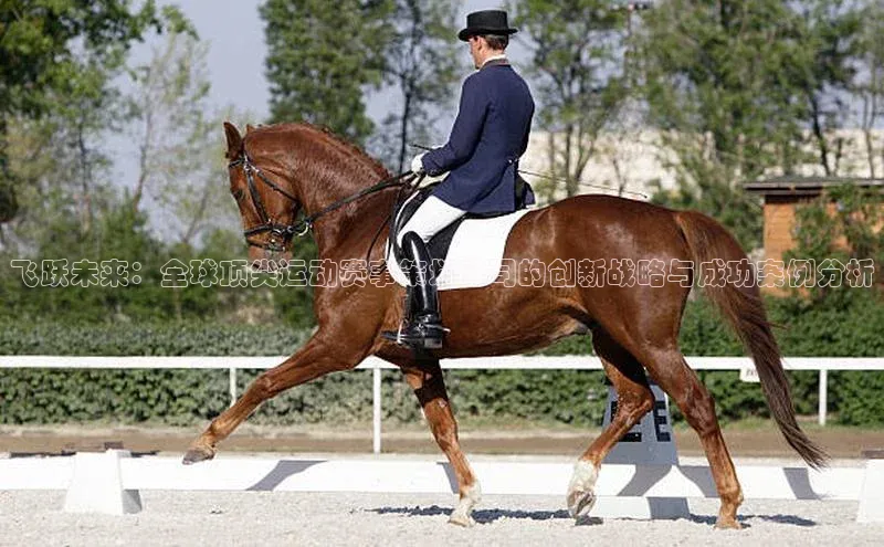 杏悦2最新登录方式