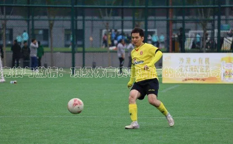 杏悦2平台注册开户