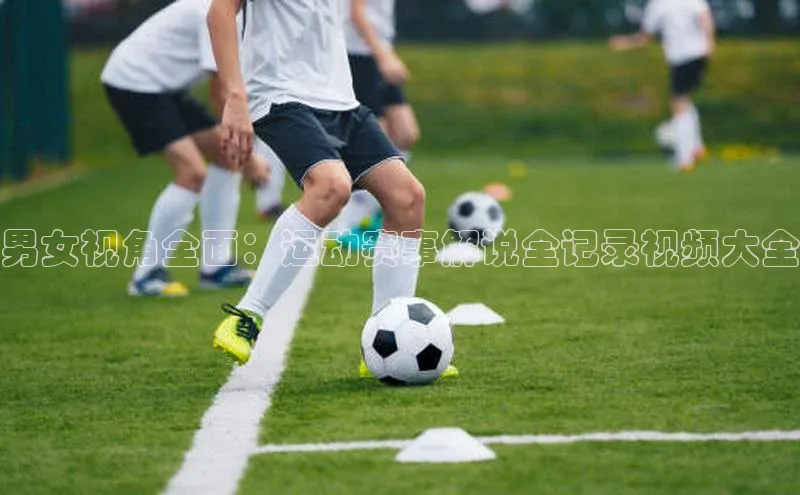 杏悦2平台登录入口